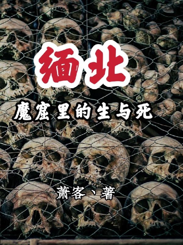 缅北梦魇