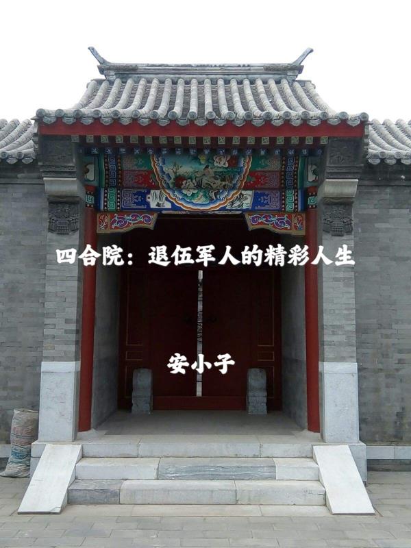 四合院:退伍军人的精彩人生
