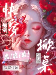 快穿:您有新的掀了吗订单