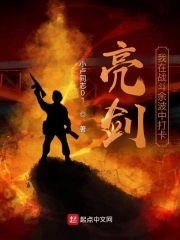 亮剑:我在战斗余波中打卡