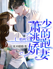 一胎两宝:萧少的逃跑娇妻