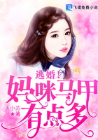逃婚!妈咪马甲有点多