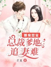 爆宠双宝:总裁爹地追妻难